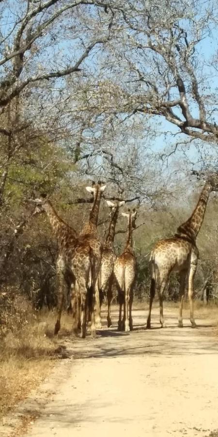 Njiri Lodge - Your Part Of Africa Marloth Park Exterior photo